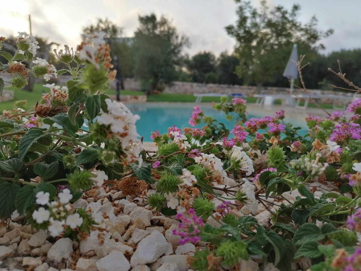 Casale Dolina Verde Ostuni Εξωτερικό φωτογραφία